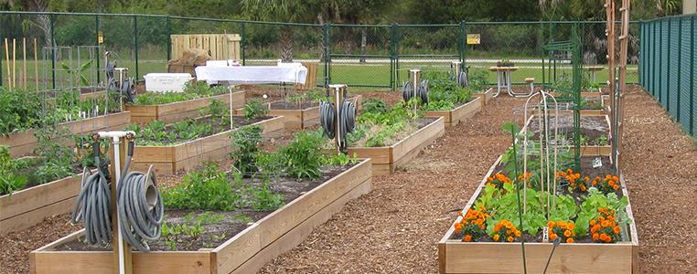 South County Regional Park 社区 Garden